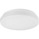 Collins LED 15 inch White Flush Mount Ceiling Light