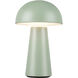 Asher 8.63 inch 3 watt Sage Green Table Lamp Portable Light