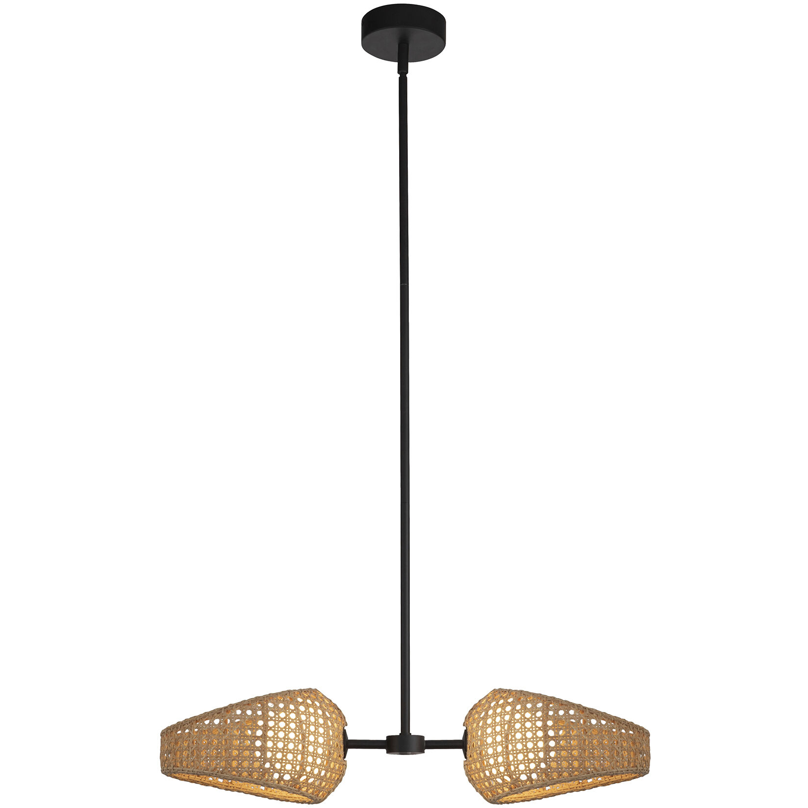 Lanai Pendant Ceiling Light