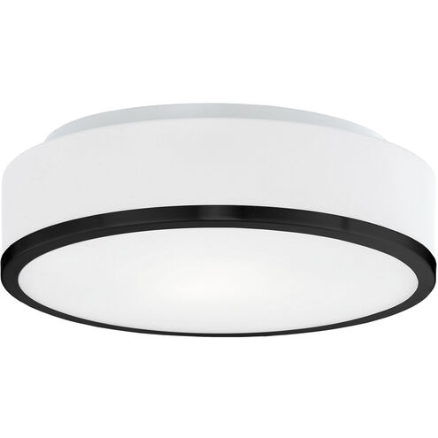 Charlie 2 Light 11.5 inch Black Flush Mount Ceiling Light