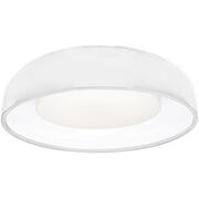 Ceiling Lights