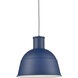 Irving 1 Light 21.75 inch Indigo Blue Pendant Ceiling Light