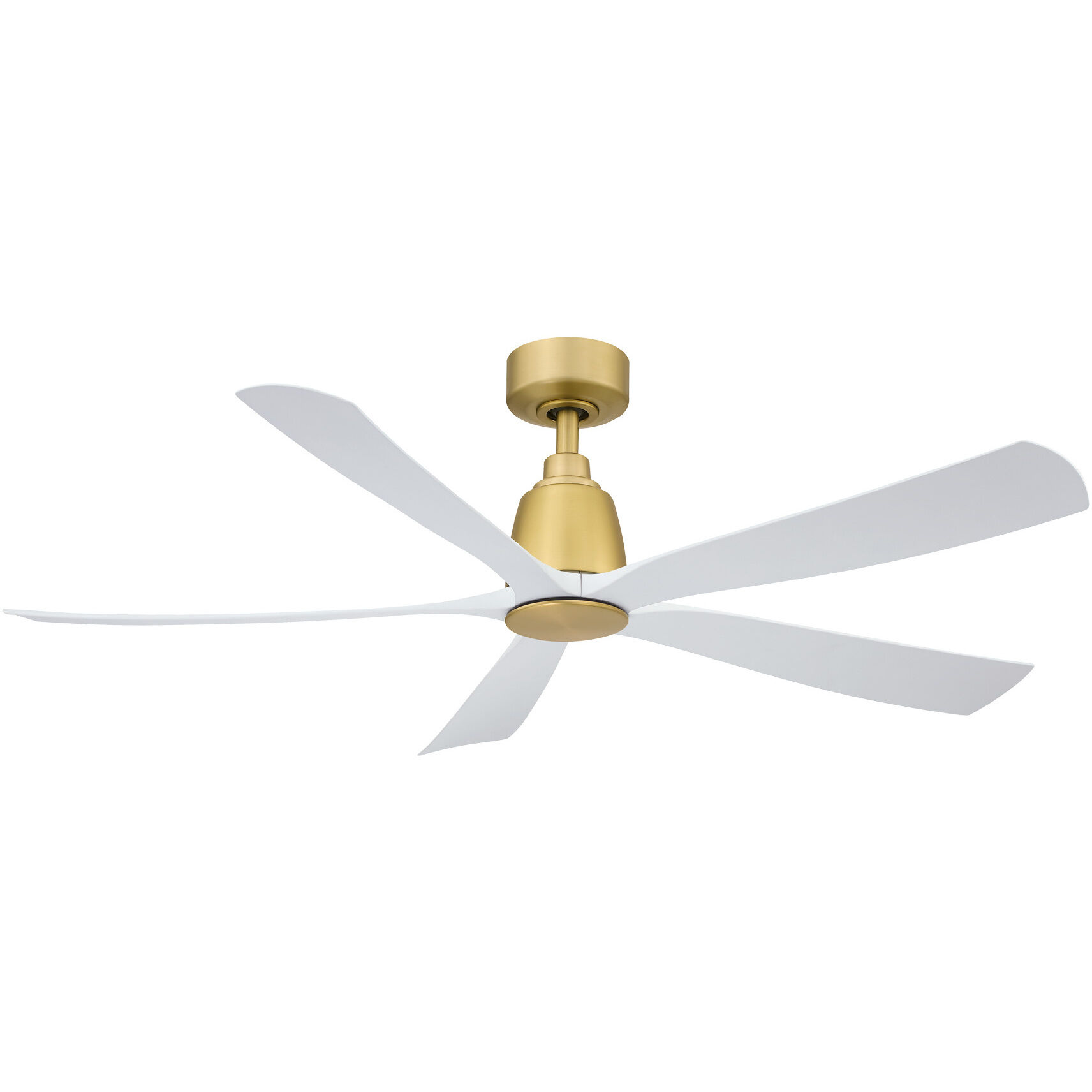Kute Fan