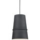 Castor 1 Light 7.88 inch Black Pendant Ceiling Light