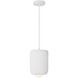 Hayden Pendant Ceiling Light in Antique White