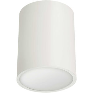 Echo LED 5.25 inch Matte White Flush Mount Ceiling Light