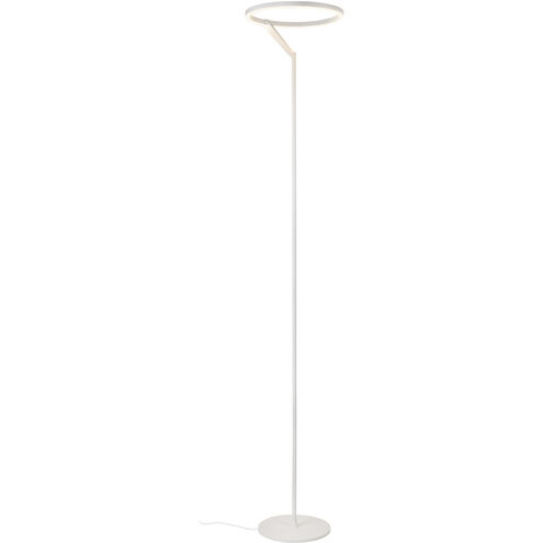 Roda 66.25 inch 25 watt White Floor Lamp Portable Light