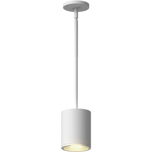 Nordic 5.00 inch Outdoor Pendant/Chandelier