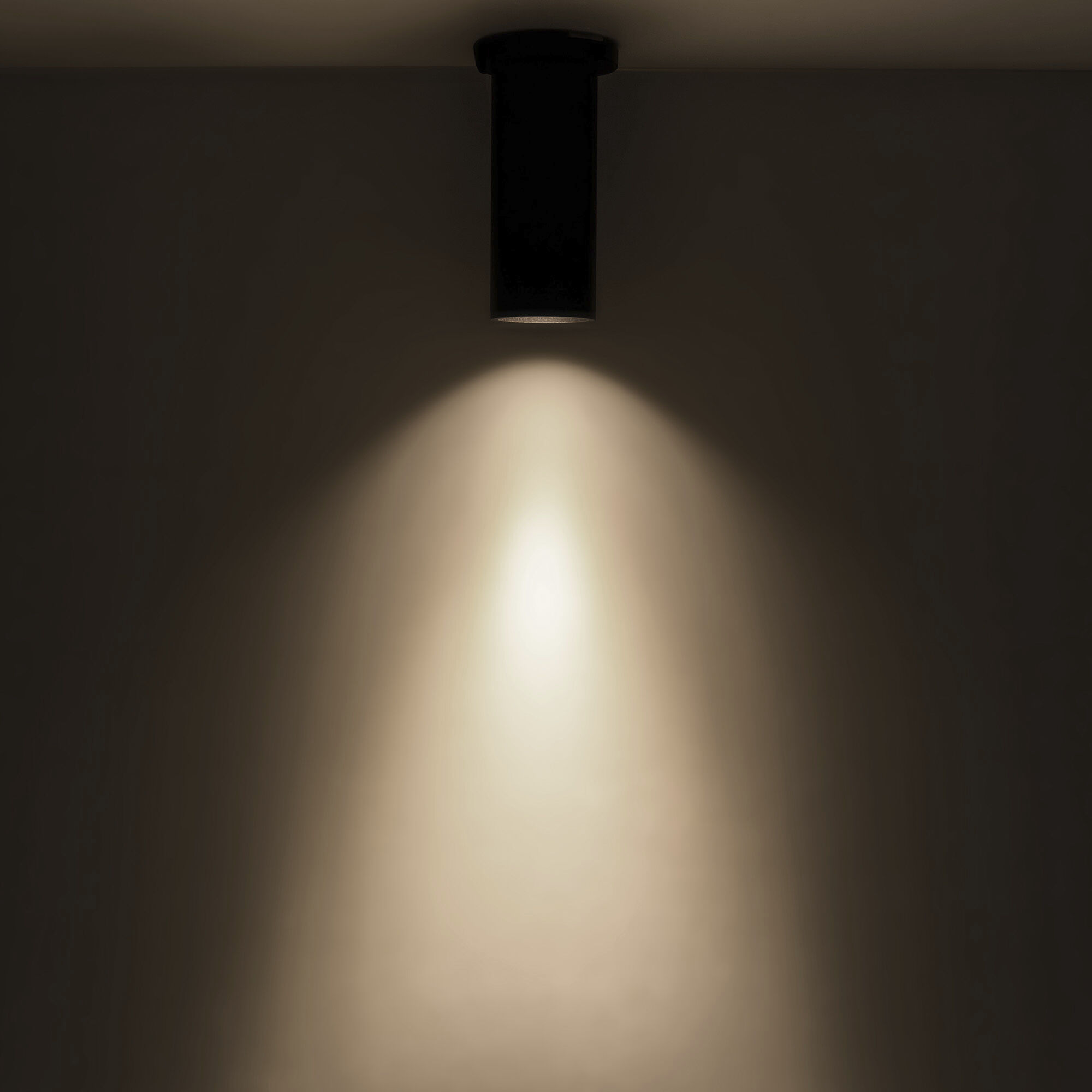 Lorna LED 4.38 inch Black Ceiling Mount Ceiling Light