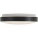 Yanis 11.88 inch Black Flush Mount Ceiling Light