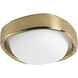 Pebble 8.25 inch Metallic Brass Flush Mount Ceiling Light