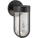 Davy LED 10.75 inch Black Exterior Wall Sconce