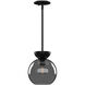 Arcadia 1 Light 7.88 inch Black/Smoked Pendant Ceiling Light in Smoked Glass