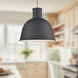 Irving 1 Light 13 inch Black Pendant Ceiling Light
