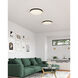 Essex LED 19.75 inch Black and White Flush Mount Ceiling Light