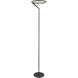 Roda 66.25 inch 25 watt Black Floor Lamp Portable Light