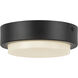 Bailey 5 inch Black Exterior Ceiling