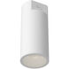 Lorna 4.38 inch Flush Mount