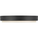 Bailey 11 inch Black Exterior Ceiling