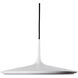 Disc LED 16.5 inch White Pendant Ceiling Light