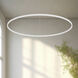 Cerchio LED 59 inch White Pendant Ceiling Light