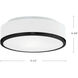 Charlie LED 11.5 inch Black Flush Mount Ceiling Light