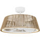Isla Indoor Ceiling Fan