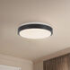 Yanis 11.88 inch Black Flush Mount Ceiling Light