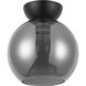 Arcadia 1 Light 7.88 inch Black/Smoked Semi-Flush Mount Ceiling Light in Smoked Glass