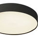Rynn 5.25 inch Black Flush Mount Ceiling Light