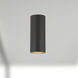Lorna LED 3.25 inch Black Concrete Ceiling Mount Ceiling Light
