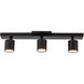 Arnold 120-277 Black Track Light Ceiling Light