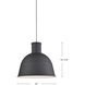 Irving 1 Light 13 inch Black Pendant Ceiling Light