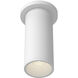 Lorna 4.38 inch Flush Mount