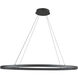 Ovale Linear Pendant Ceiling Light in Black