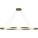 Ovale Linear Pendant Ceiling Light in Brushed Gold