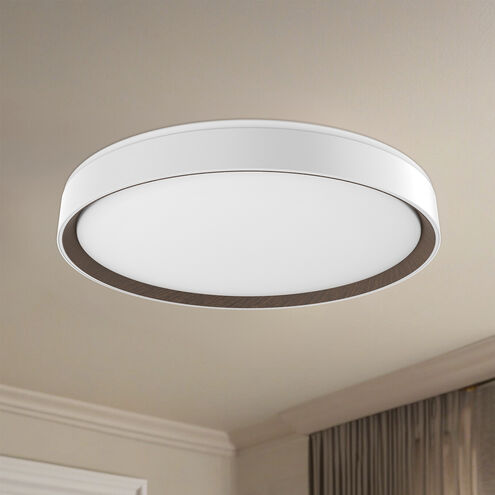 Essex LED 19.75 inch White Flush Mount Ceiling Light