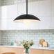 Umbra 1 Light 14 inch Black Pendant Ceiling Light