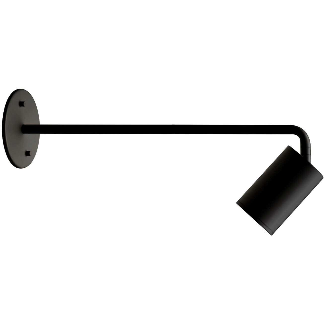 Barclay Wall/Ceiling Light Wall Light in Black