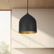Helena 1 Light 7.88 inch Black and Gold Pendant Ceiling Light