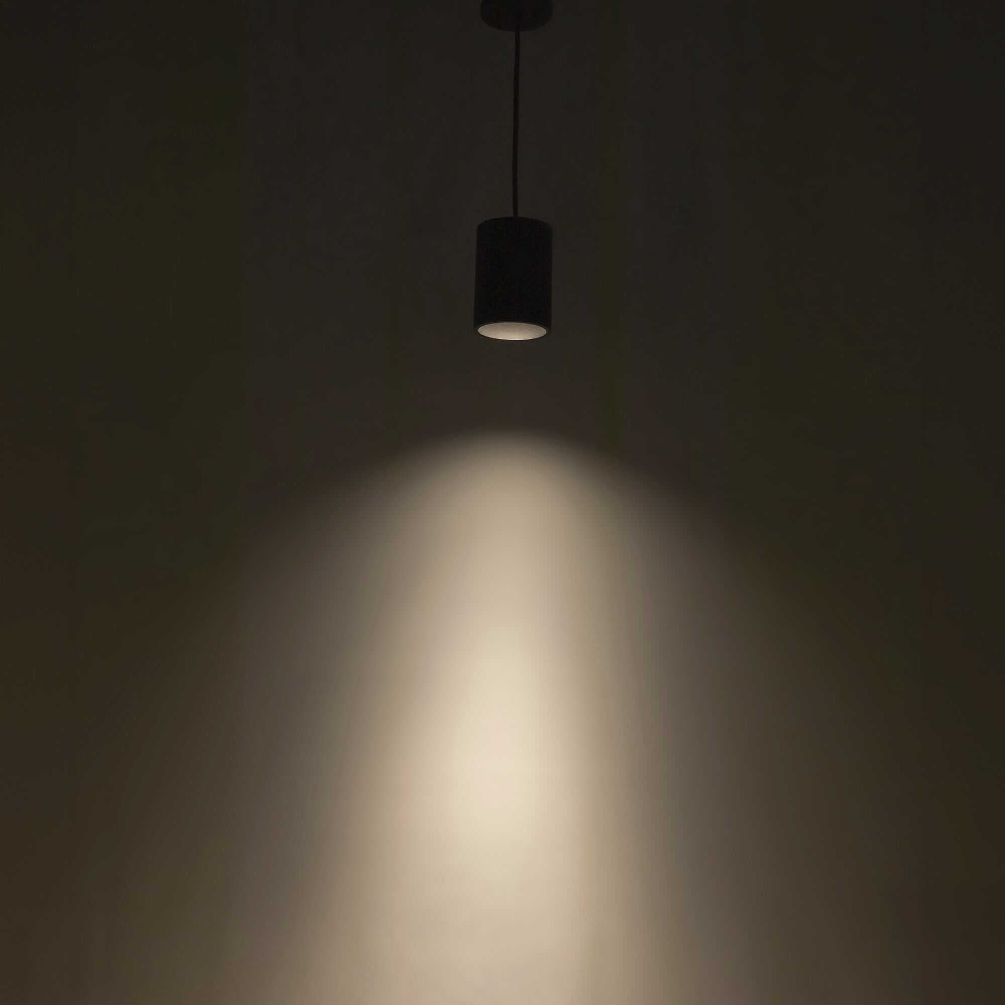 Lorna Pendant Ceiling Light in Black