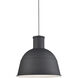 Irving 1 Light 21.75 inch Black Pendant Ceiling Light