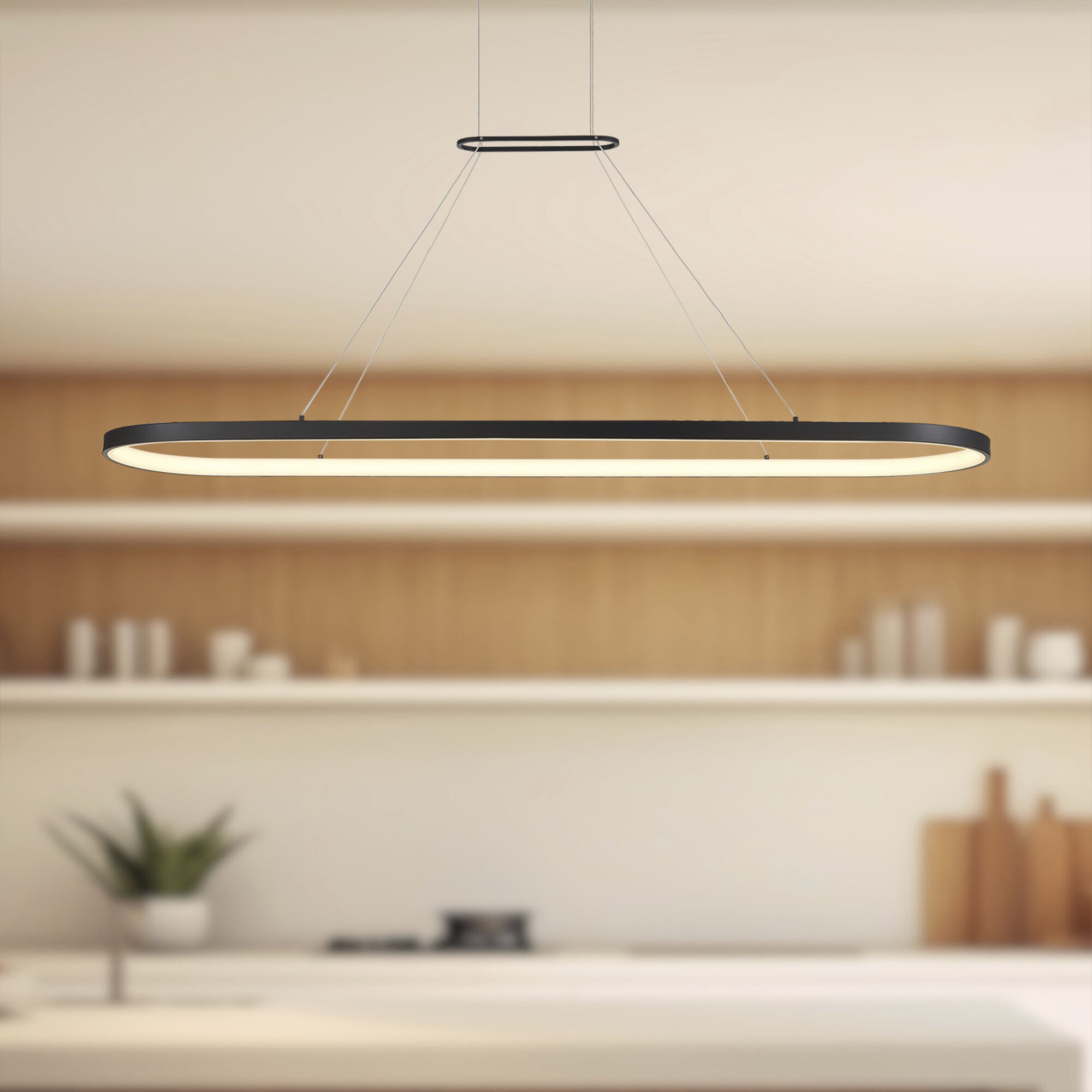 Eerie Pendant Ceiling Light in Black