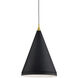 Dorothy 1 Light 16 inch Black With Gold Detail Pendant Ceiling Light