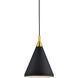 Dorothy 1 Light 10 inch Black With Gold Detail Pendant Ceiling Light