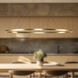 Ovale Linear Pendant Ceiling Light in Brushed Gold