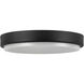 Bailey 11 inch Black Exterior Ceiling