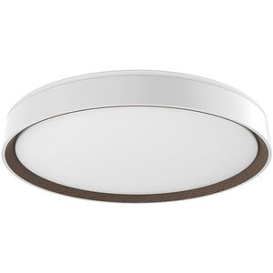 Essex LED 19.75 inch White Flush Mount Ceiling Light