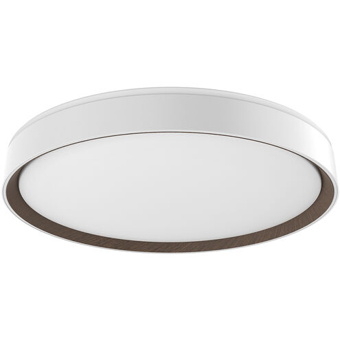Essex LED 19.75 inch White Flush Mount Ceiling Light