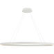 Ovale Linear Pendant Ceiling Light in White